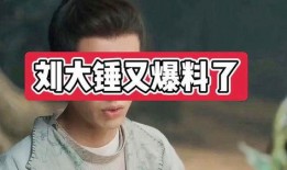 刘大锤爆料完整视频播放,独家爆料背后的真相与细节